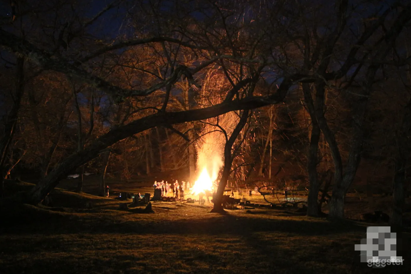 Rustic Camp setting on the Waikato river Photo 1
