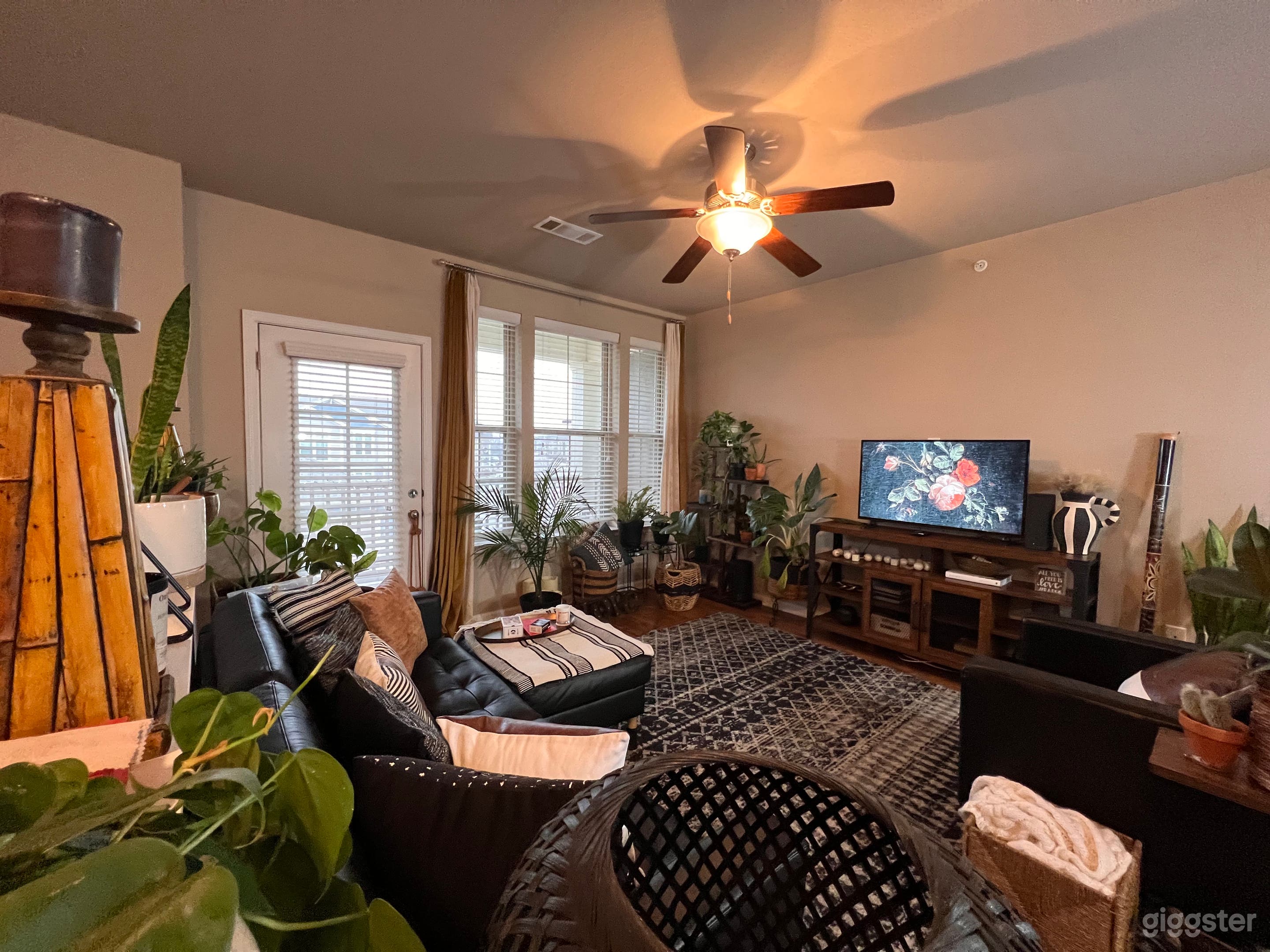 The Modern Bohemian   Photo 4