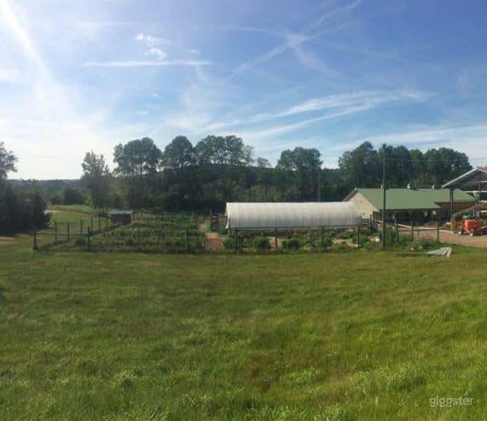 1/3 Acre Vacant Lawn  Photo 2