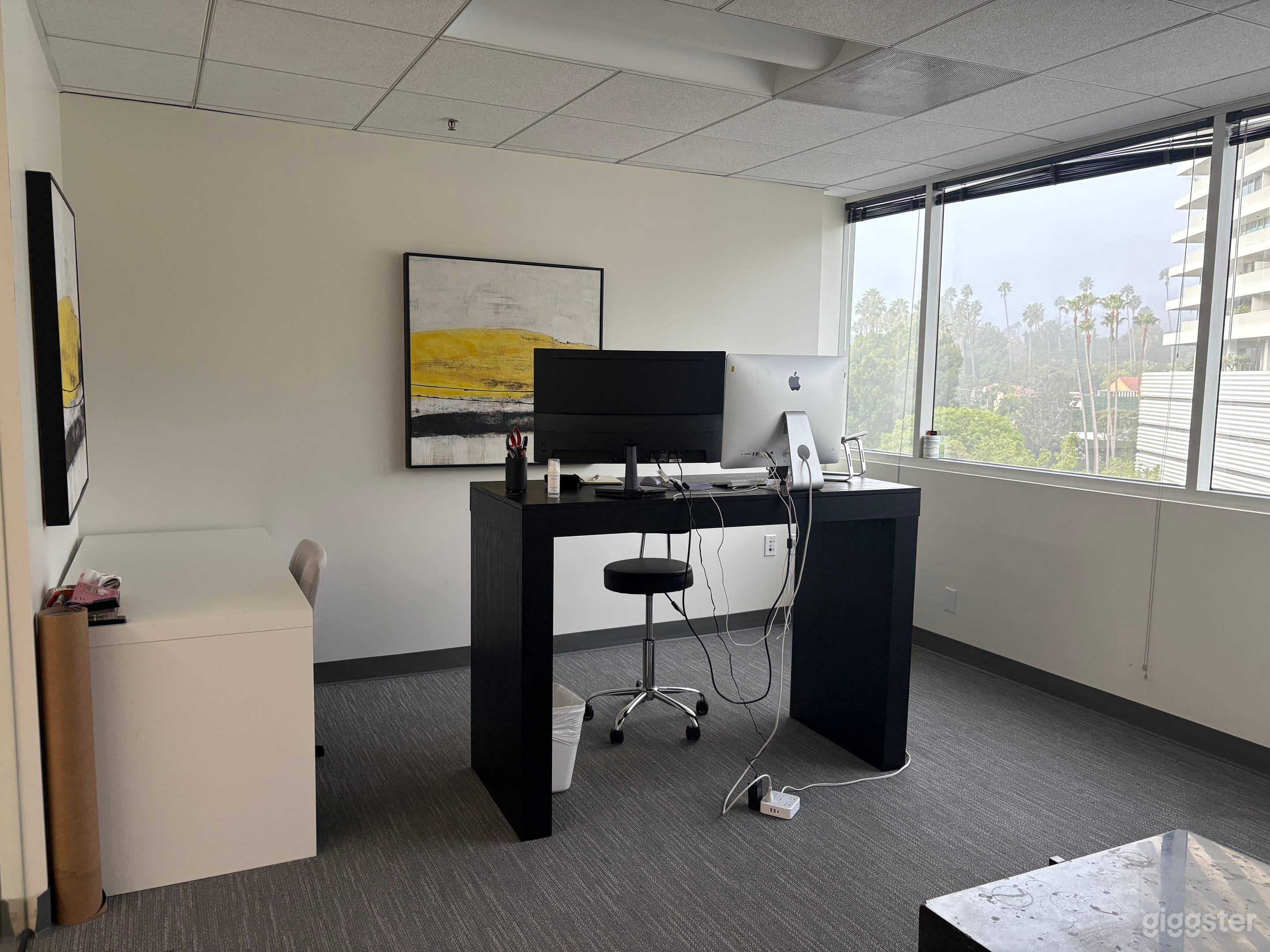 Premium Private Office Suite Photo 3