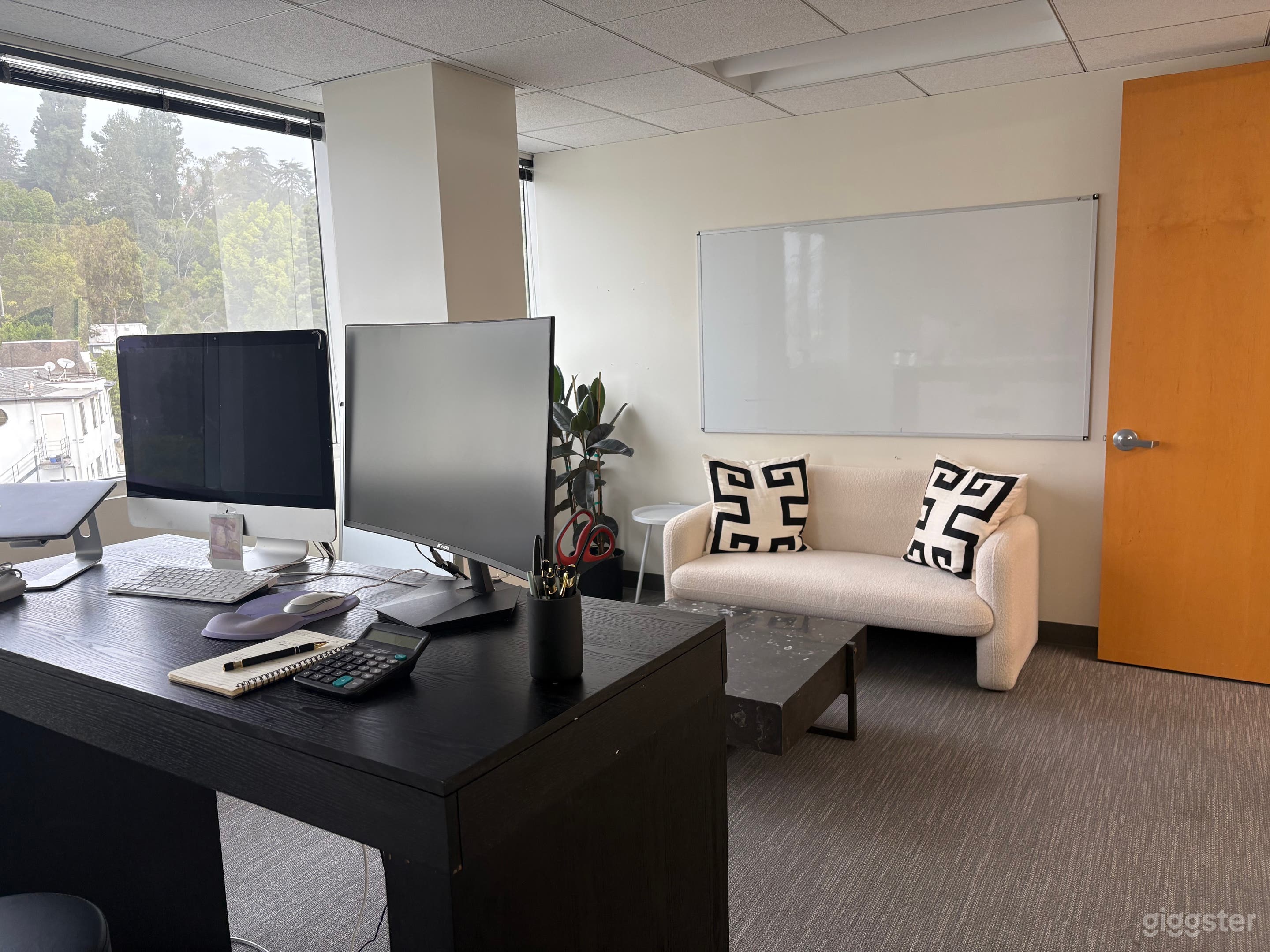 Premium Private Office Suite Photo 1
