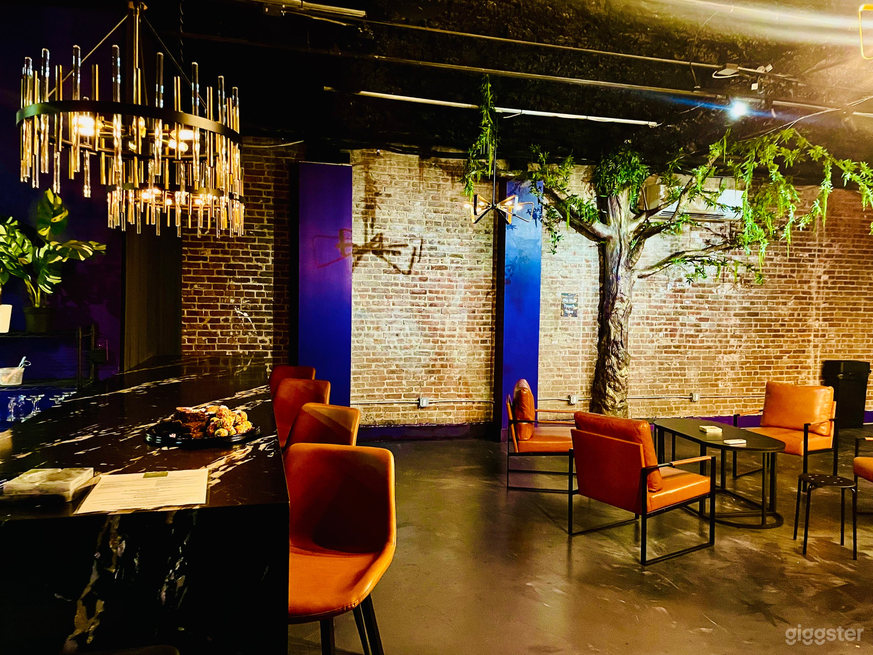 Chic Brooklyn Hideaway w/ Botanical Café + Garden Photo 1