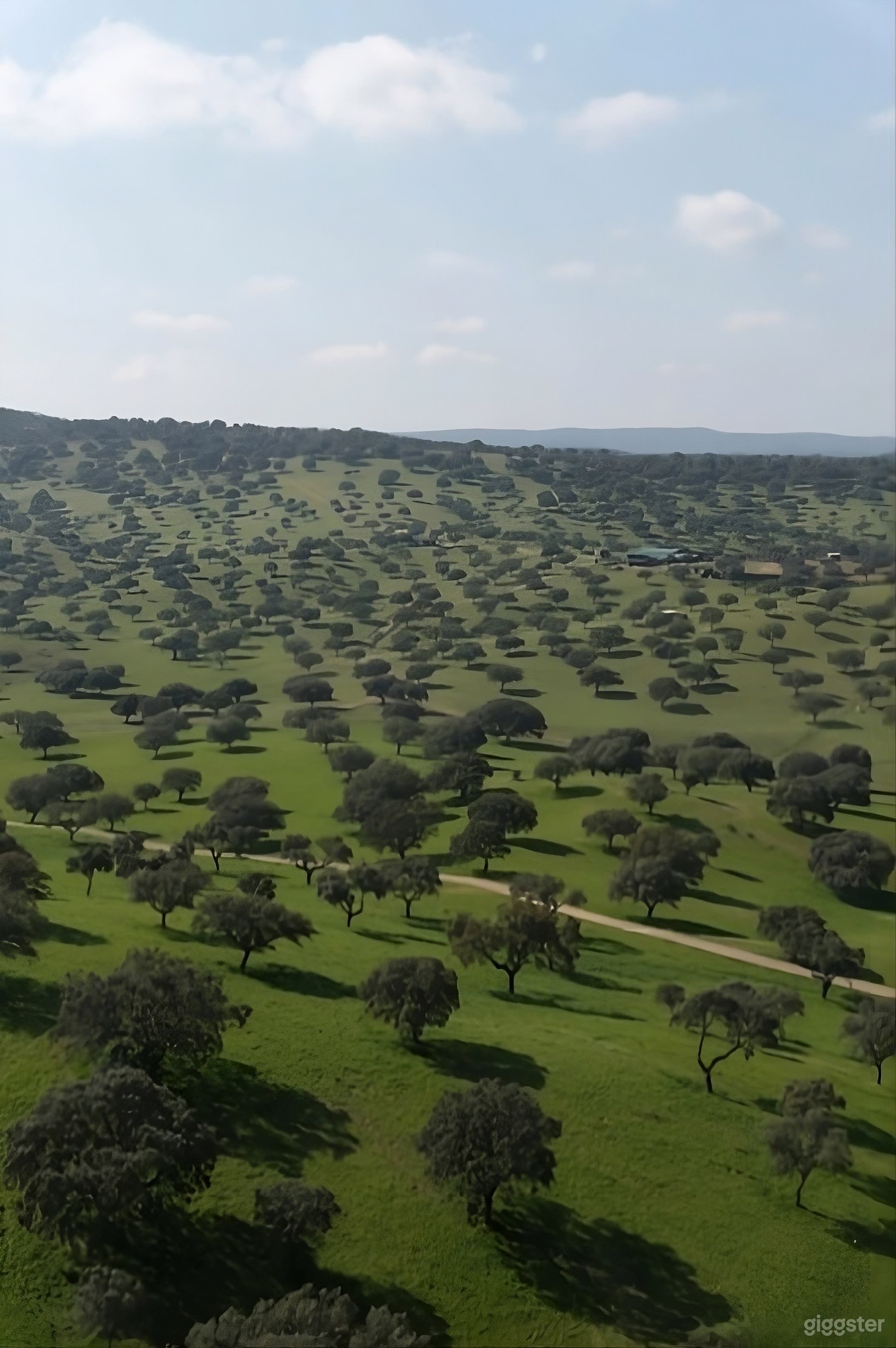 Finca privada de estilo español con vistas al lago, la fauna Foto 4