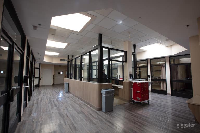  Psychiatric Hospital in LA Zone 