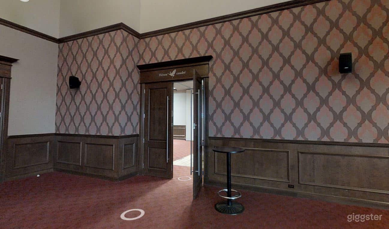 1 SALLE - HÉRON CENDRÉ ET AGAMI Photo 4