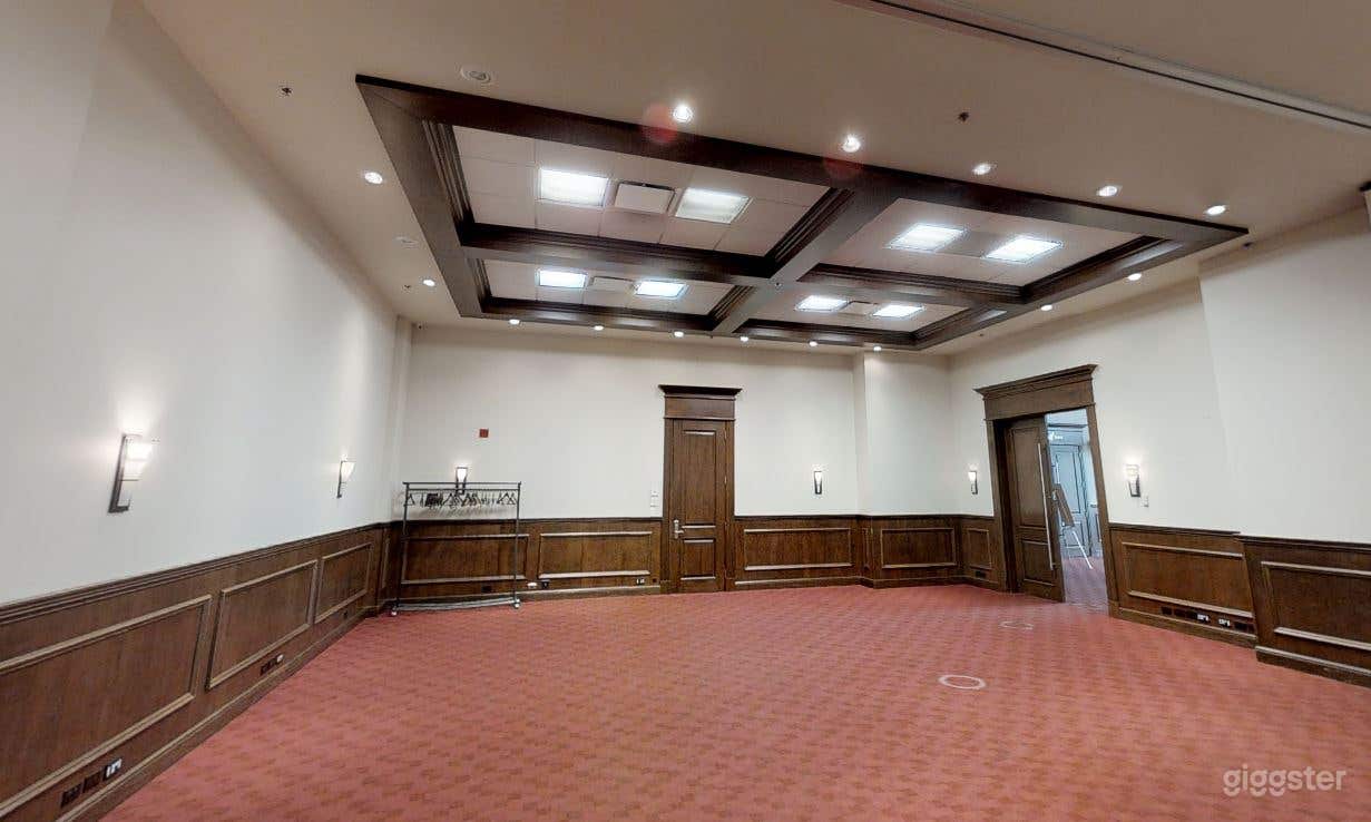 1 SALLE - HÉRON CENDRÉ ET AGAMI Photo 1