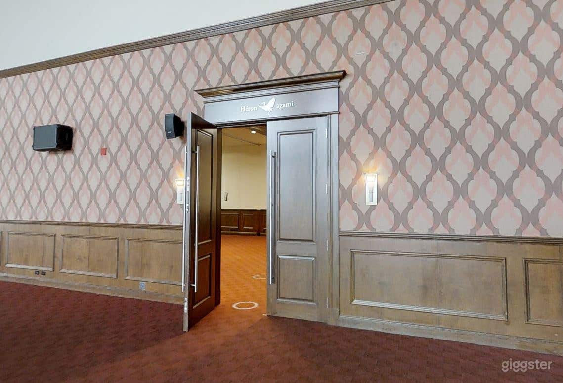 1 SALLE - HÉRON CENDRÉ ET AGAMI Photo 2