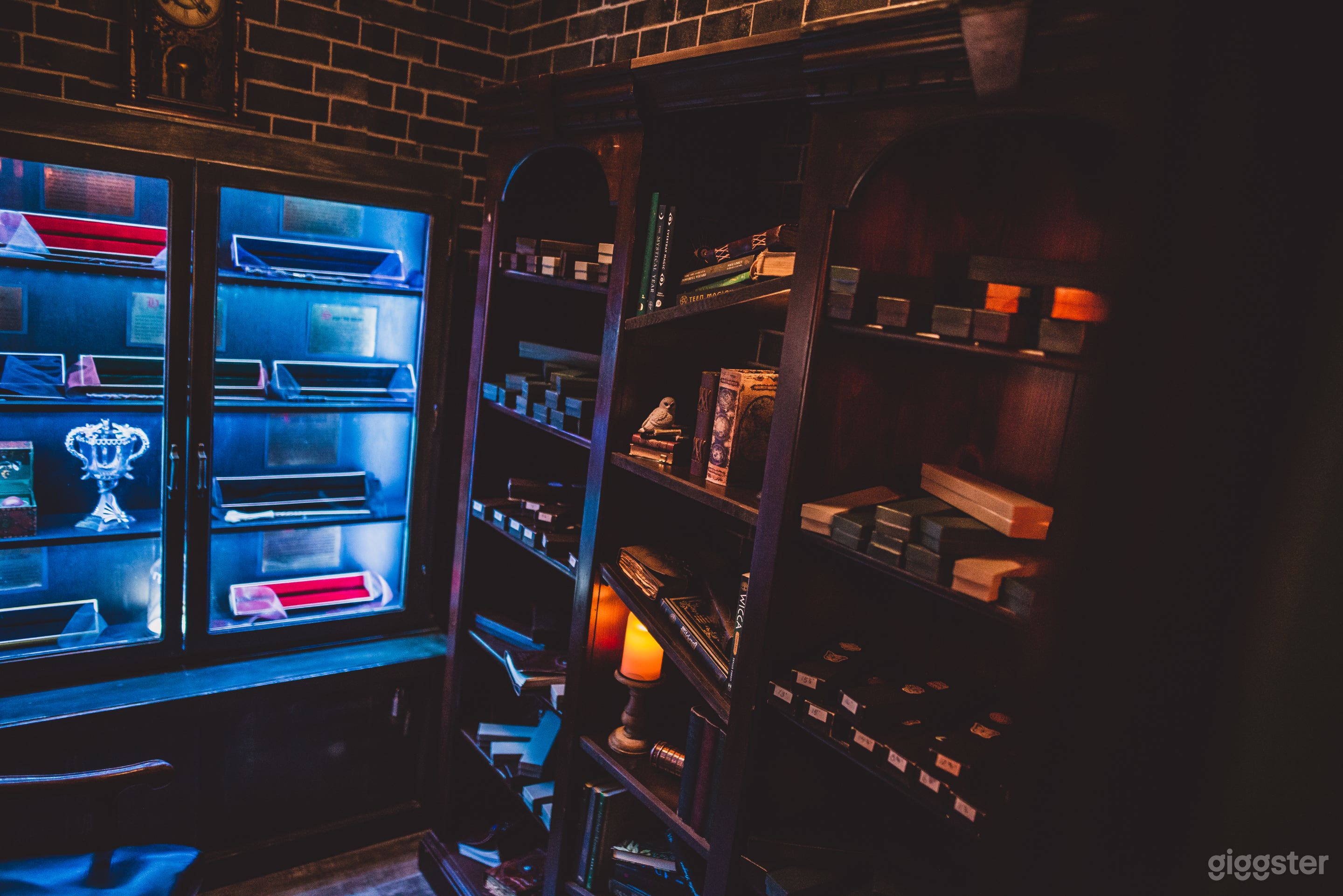 Harry Potter - Diagon Alley (wand shop)