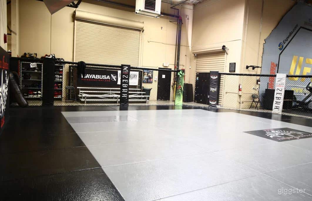 Fitness Training Mat Area with World Class Amenities Minutes from the Strip Photo 1