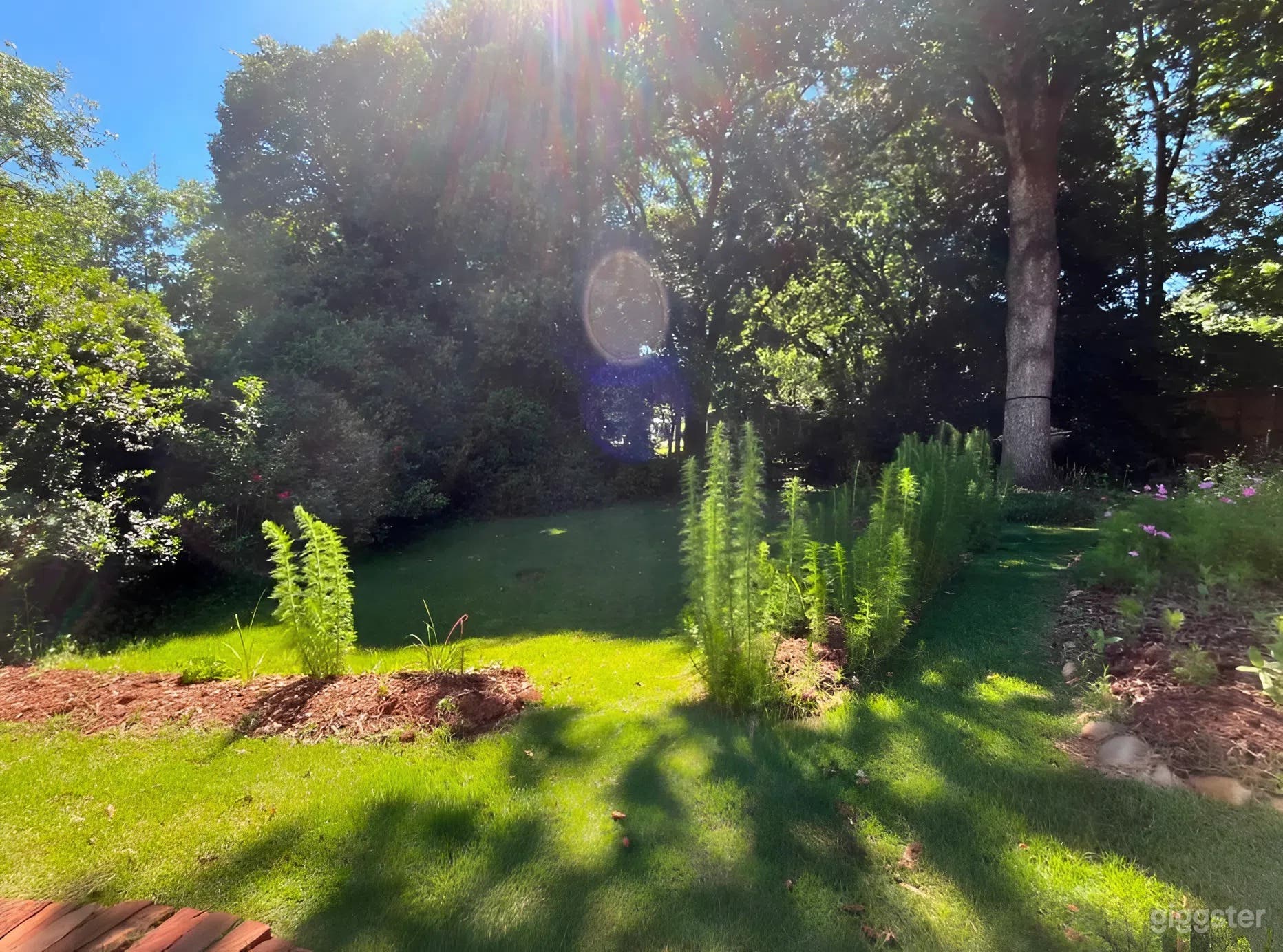 Private Garden & Sunlit Studio BUYOUT Photo 4