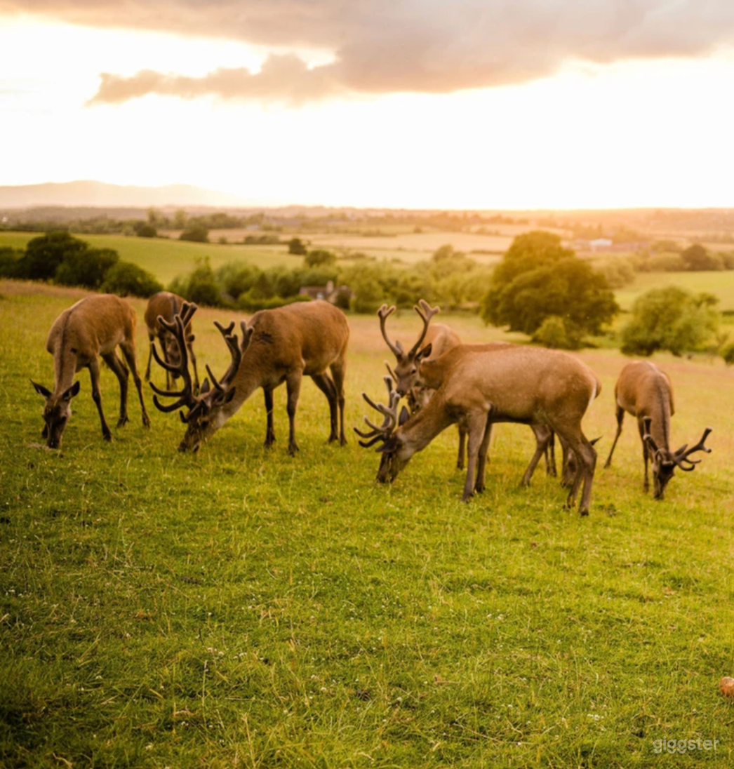 1200 Acres Spacious Farm Land with Upland Pastures Photo 1