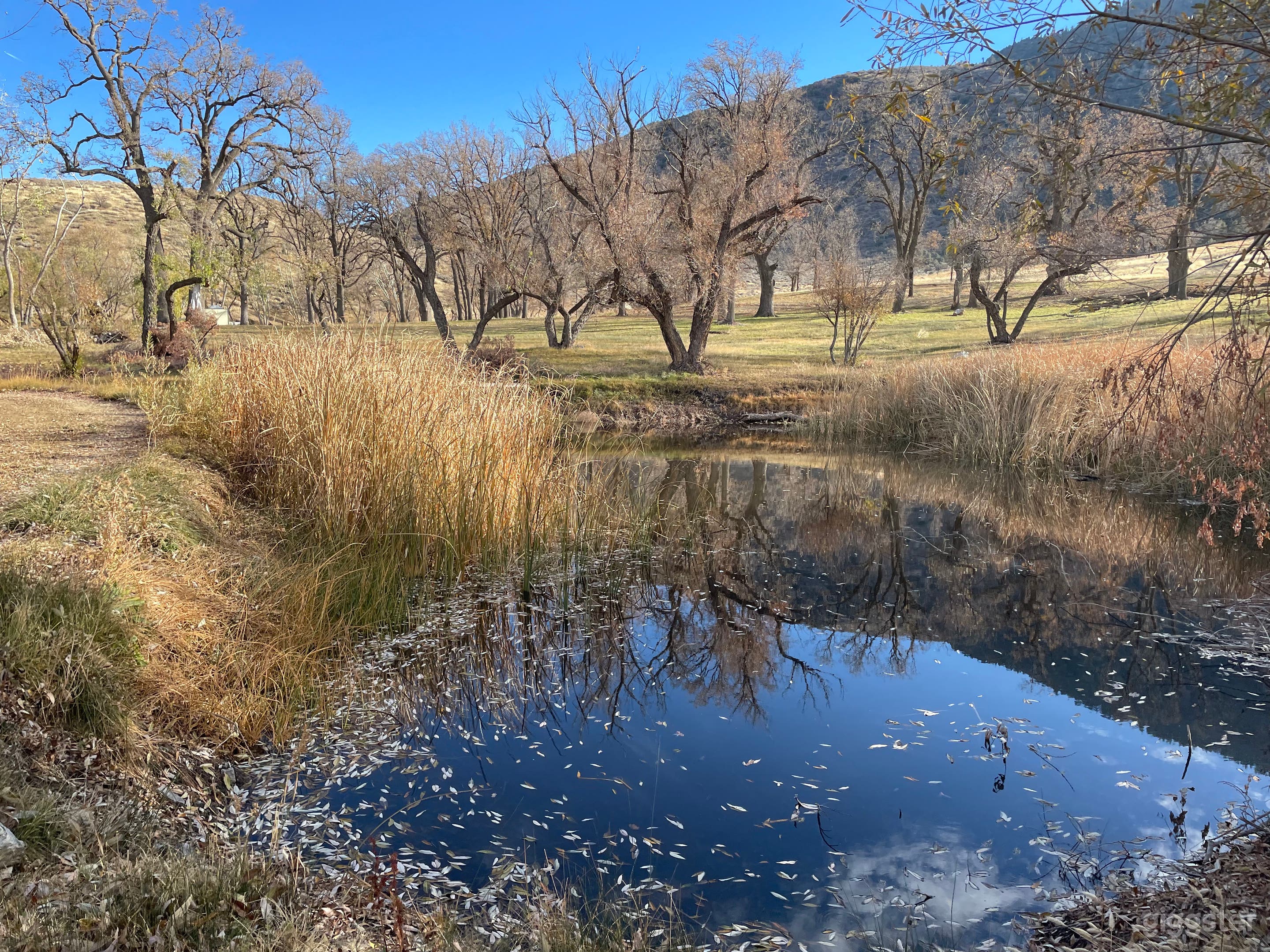 Mountain Farm Ranch With Ponds   Photo 3