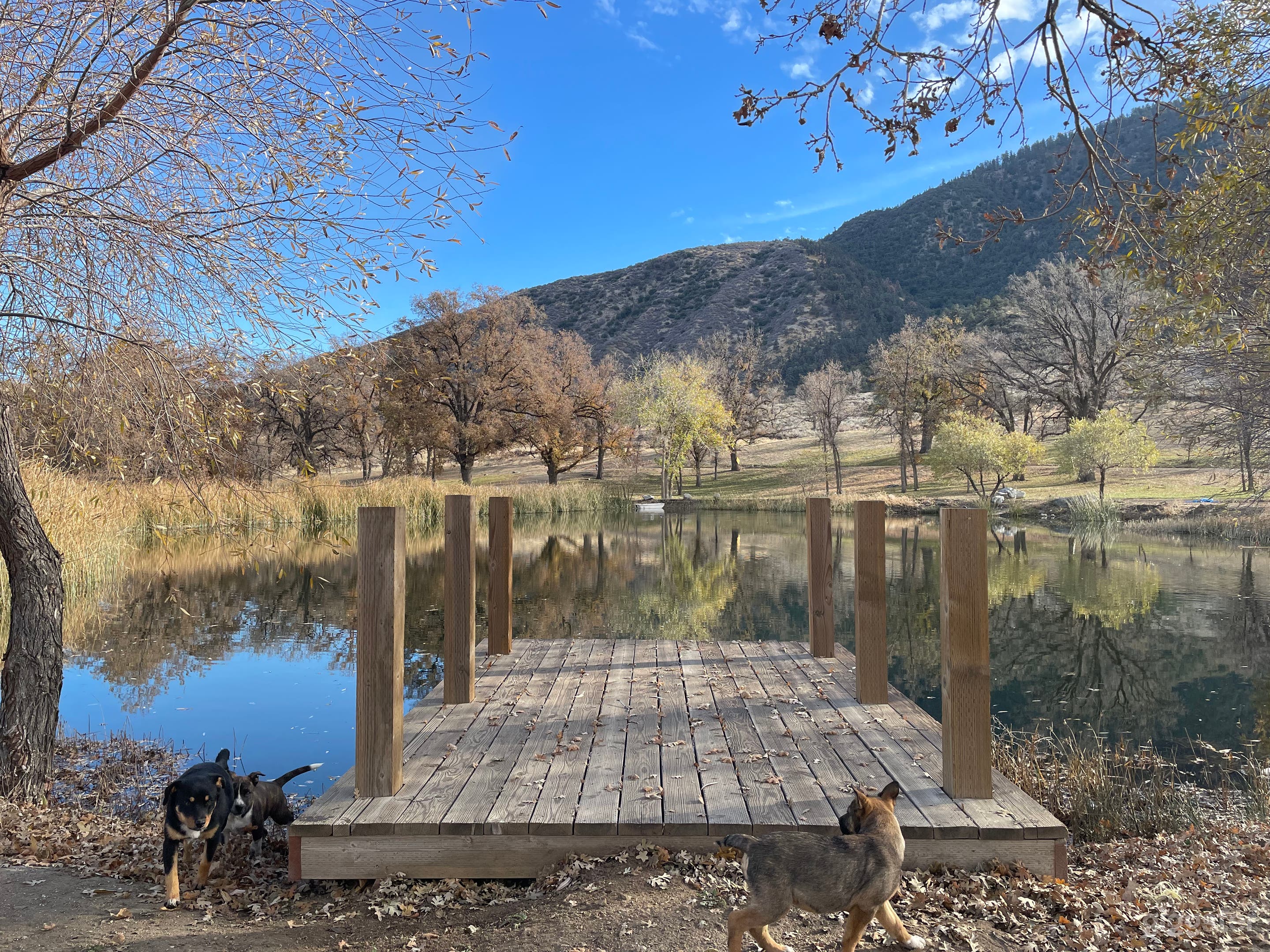 Mountain Farm Ranch With Ponds   Photo 4