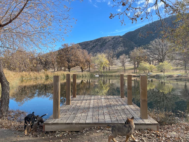  Mountain Farm Ranch With Ponds   