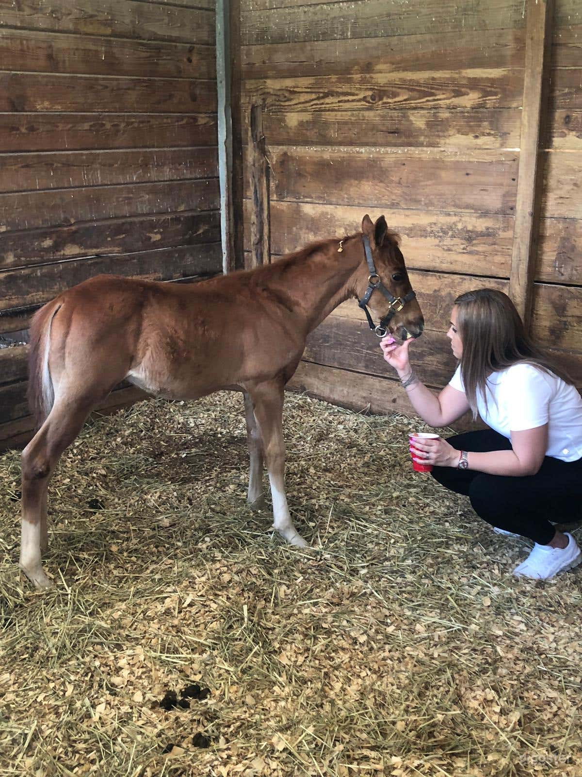 Farm in Miami  Photo 2