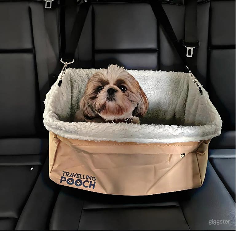  Vehículo Único y Amigable con los Animales para Cine y Producción 