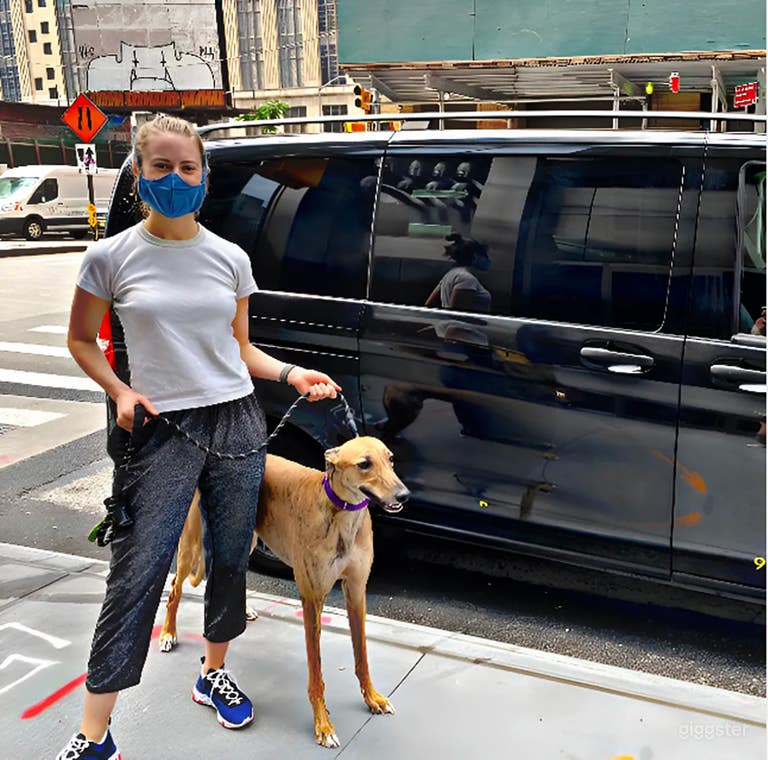  Unique Animal-Friendly Vehicle for Film, Production 