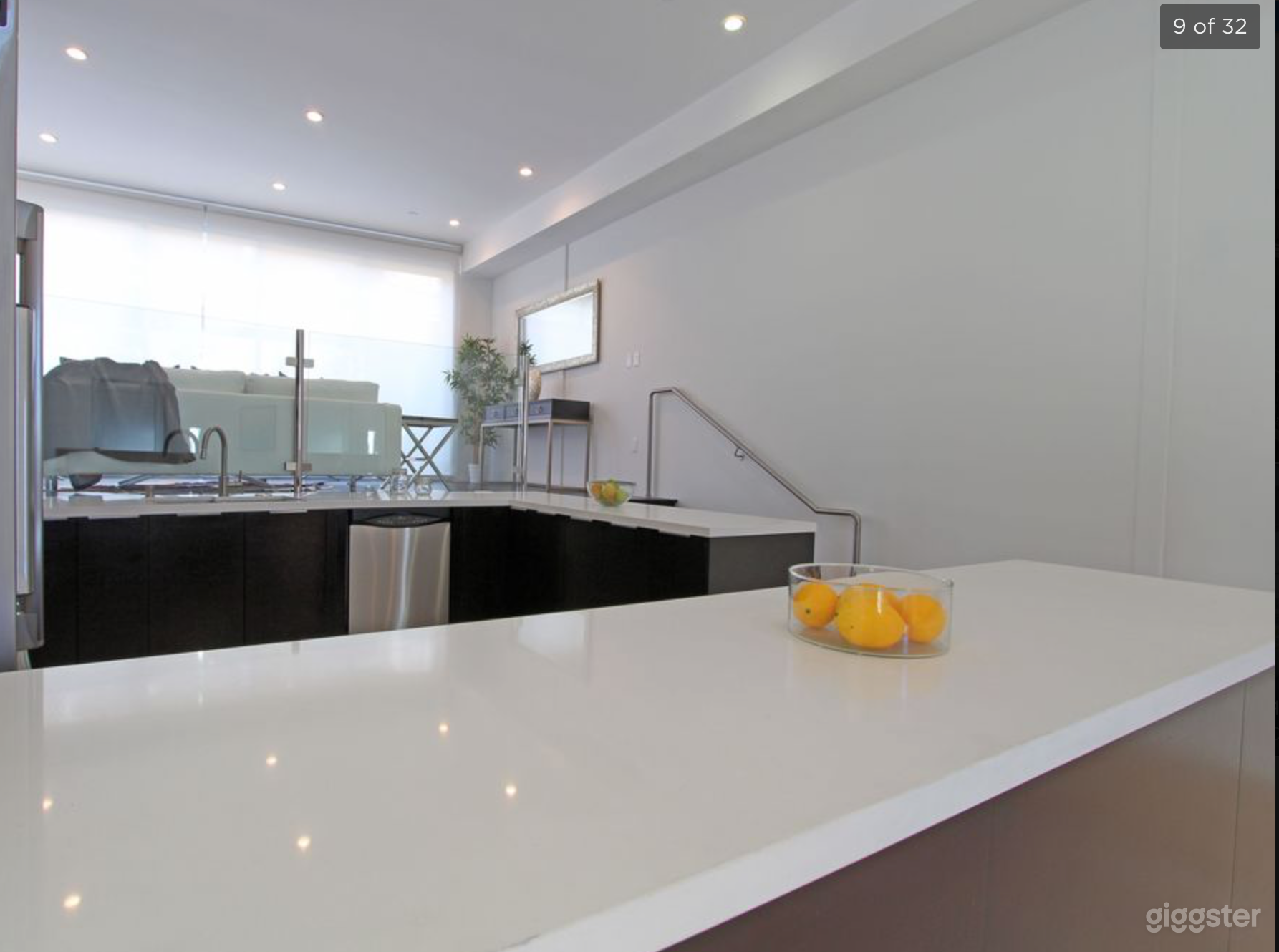 Modern Kitchen &amp; Private Rooftop Penthouse Suite Photo 1