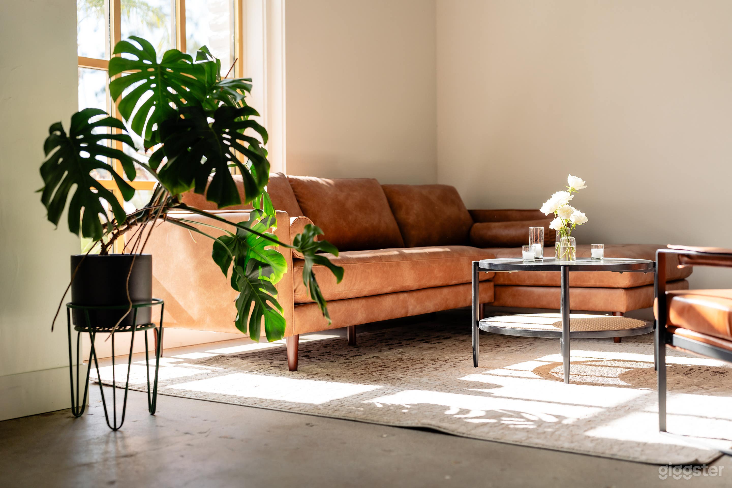 Sunlit Lounge Photo 1