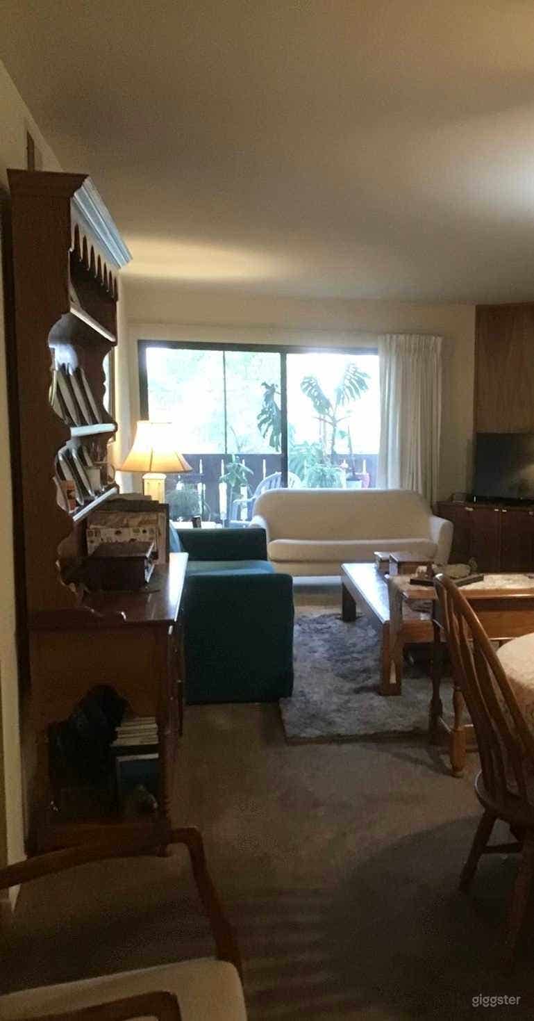 Beautiful Apartment in Solvang  Photo 3