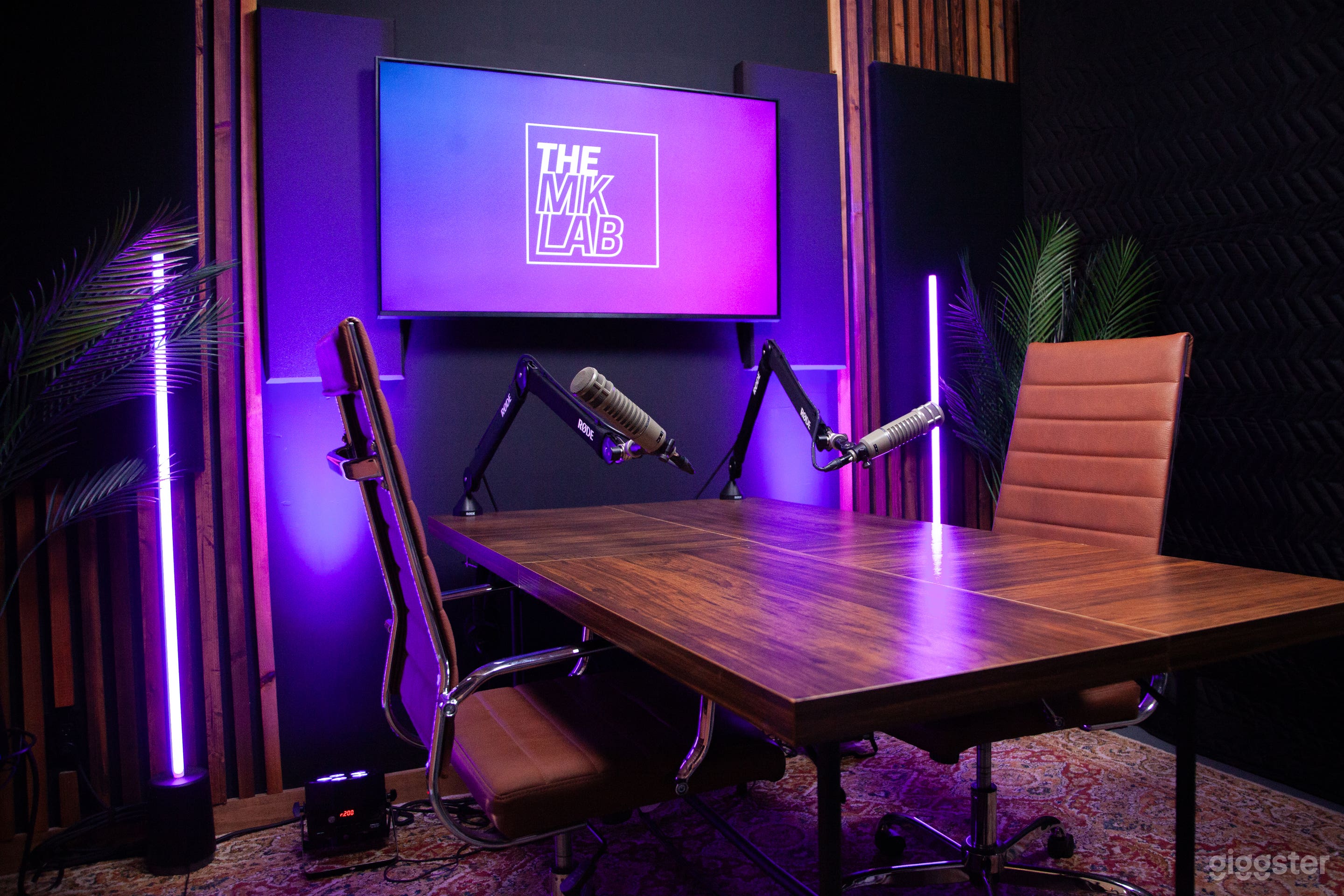 Professional Podcast Setup and Customizable to Fit your Brand Logo and Colors