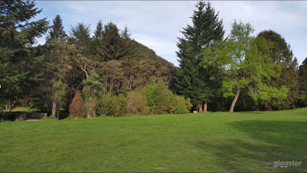 Bronz Fields Photo 3