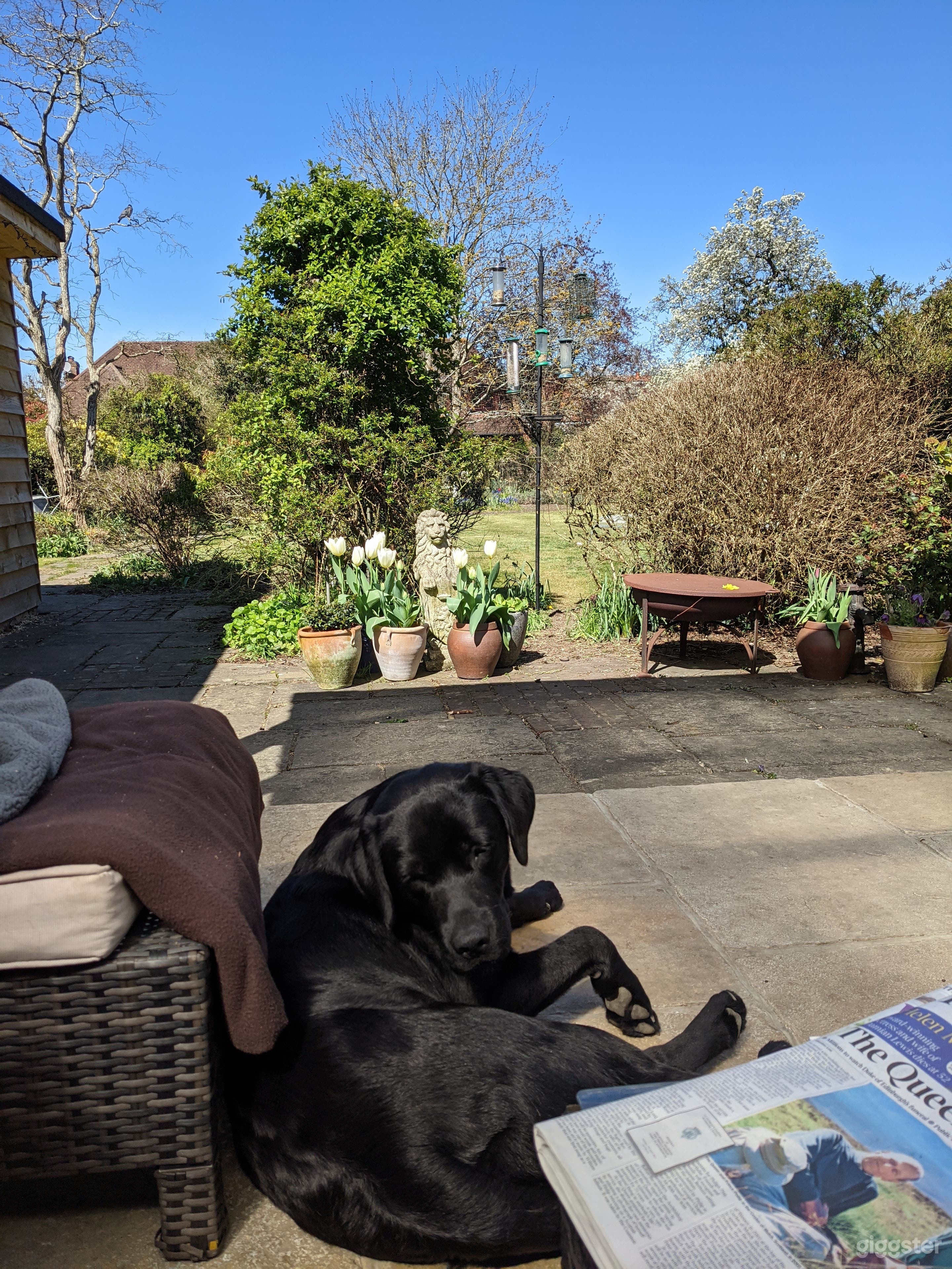 Edwardian character home in English village  Photo 4