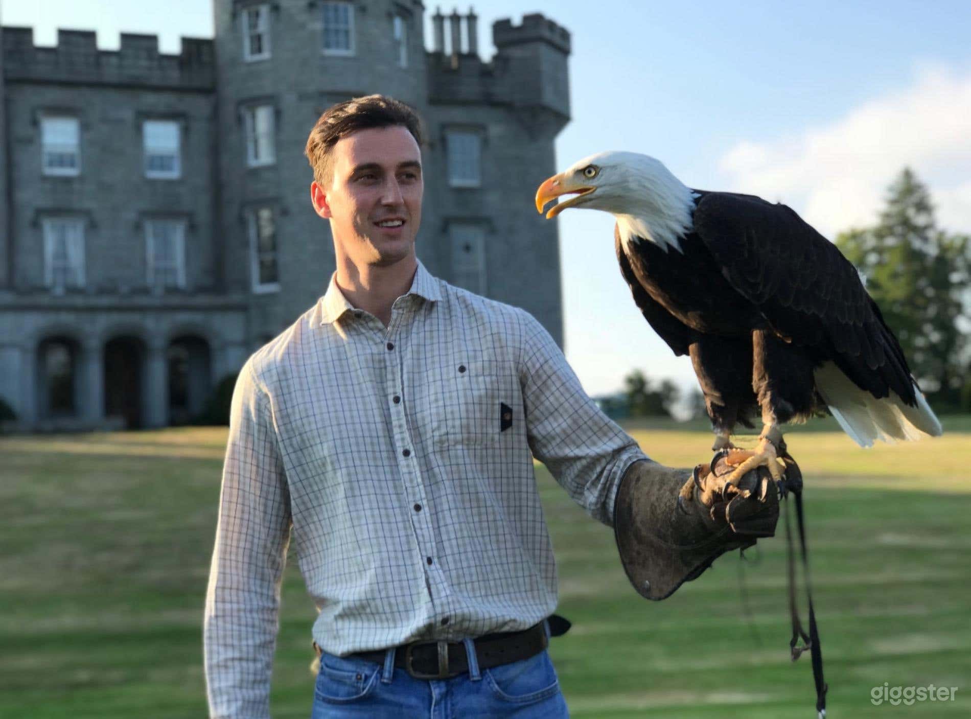 Majestic Aberdeenshire Countryside Castle Photo 4
