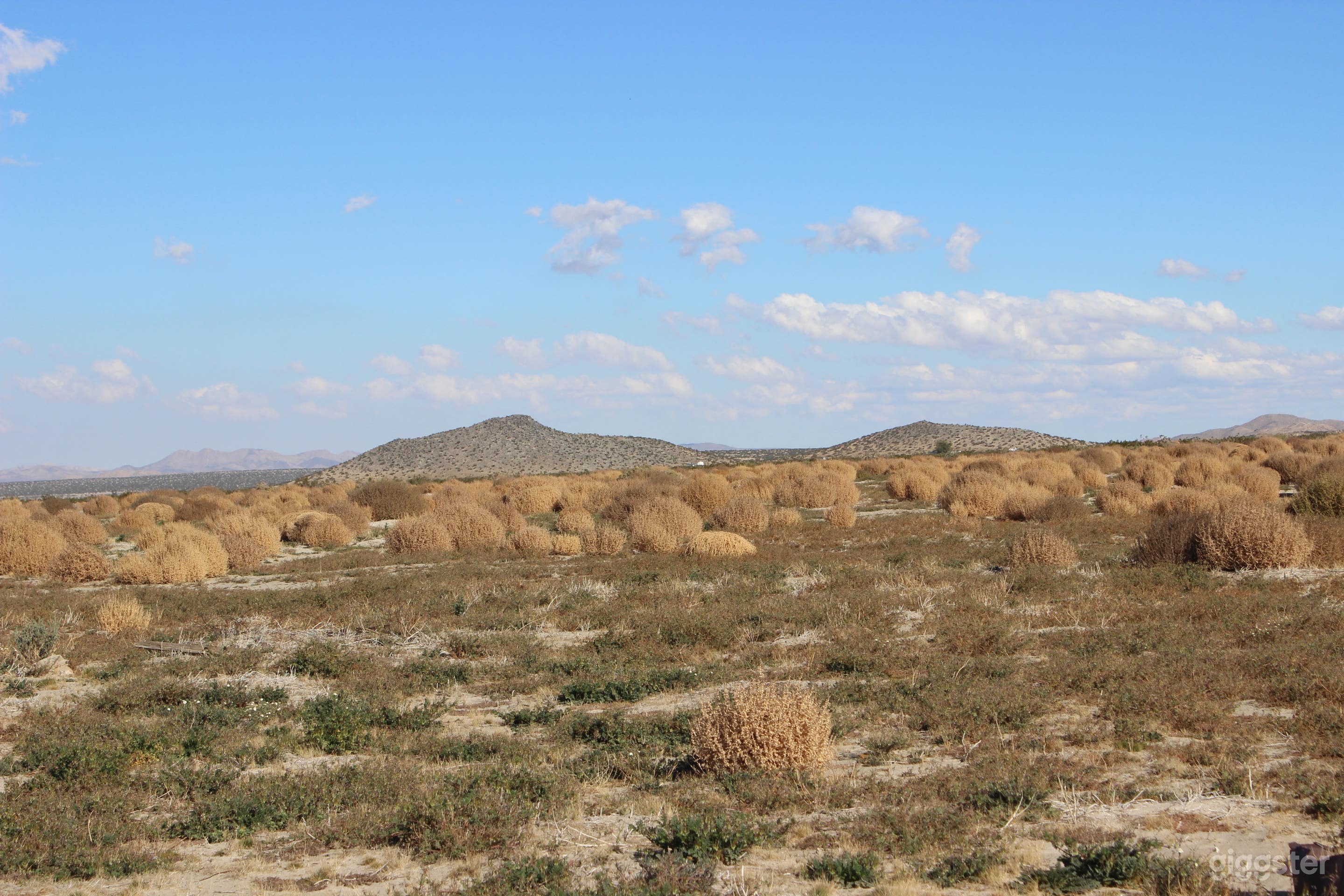 Undeveloped flat open land with distant mountains  Photo 3