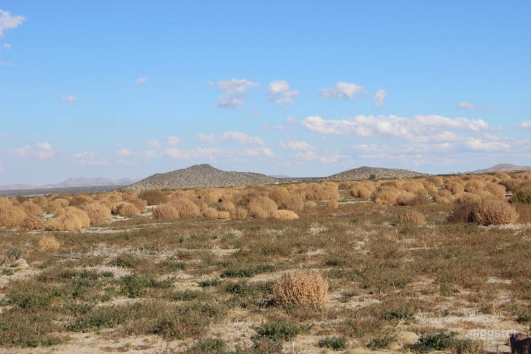  Undeveloped flat open land with distant mountains  