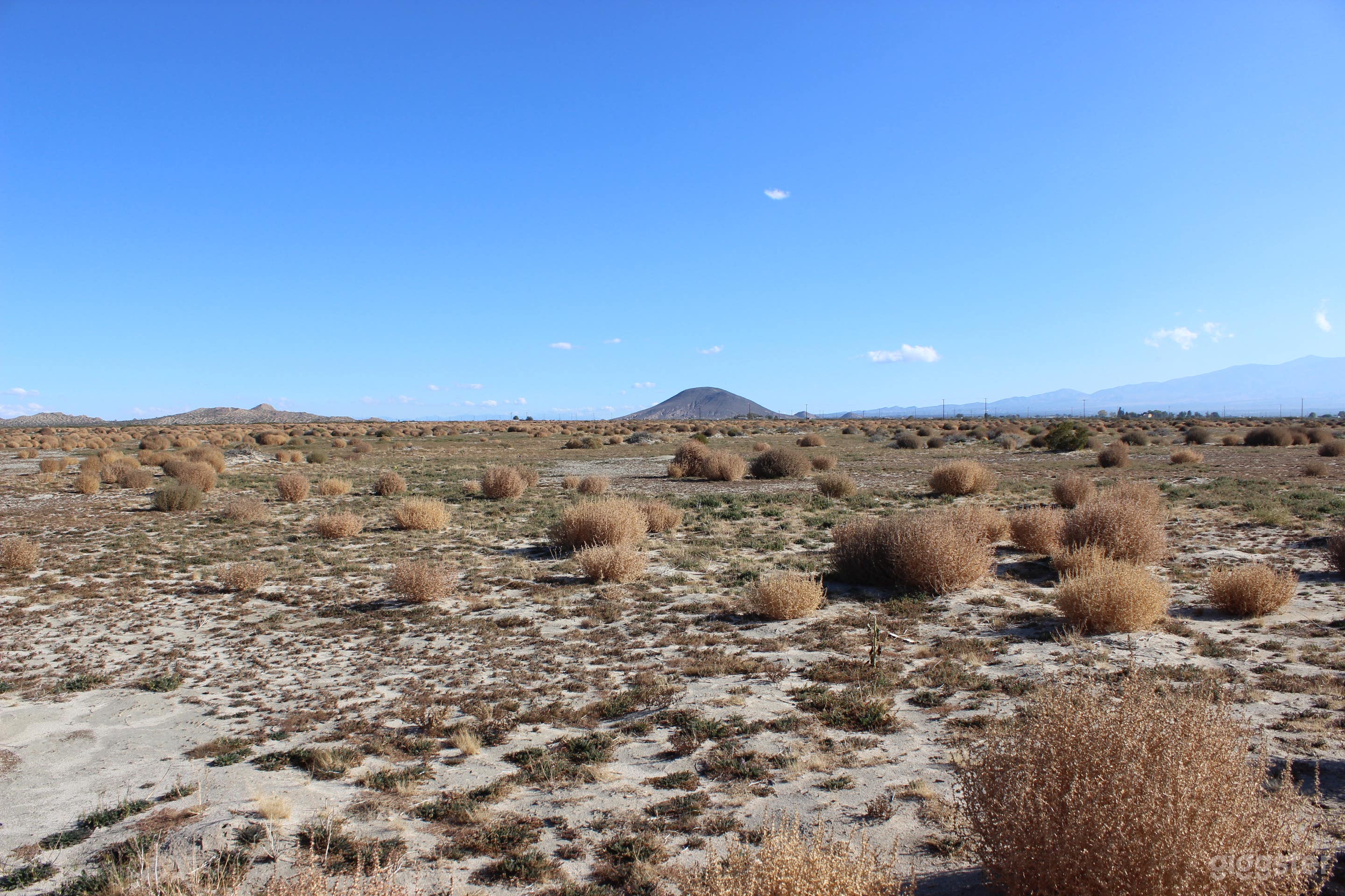 Undeveloped flat open land with distant mountains  Photo 2