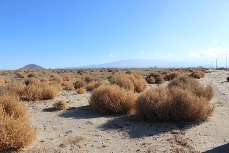  Undeveloped flat open land with distant mountains  