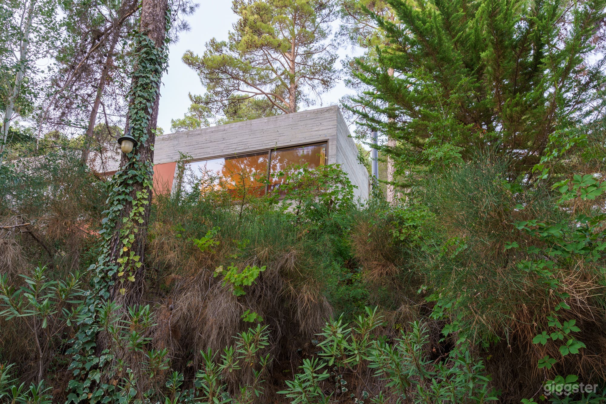 Exterior view from road level