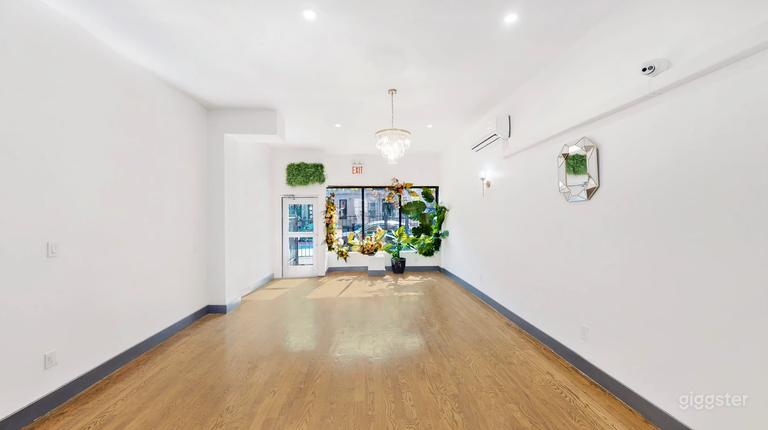  Intimate Brooklyn Space with Huge Outdoor Patio 