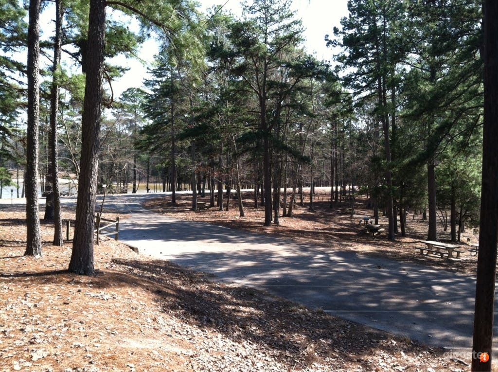 Recreational area on Lake Oconee Photo 4