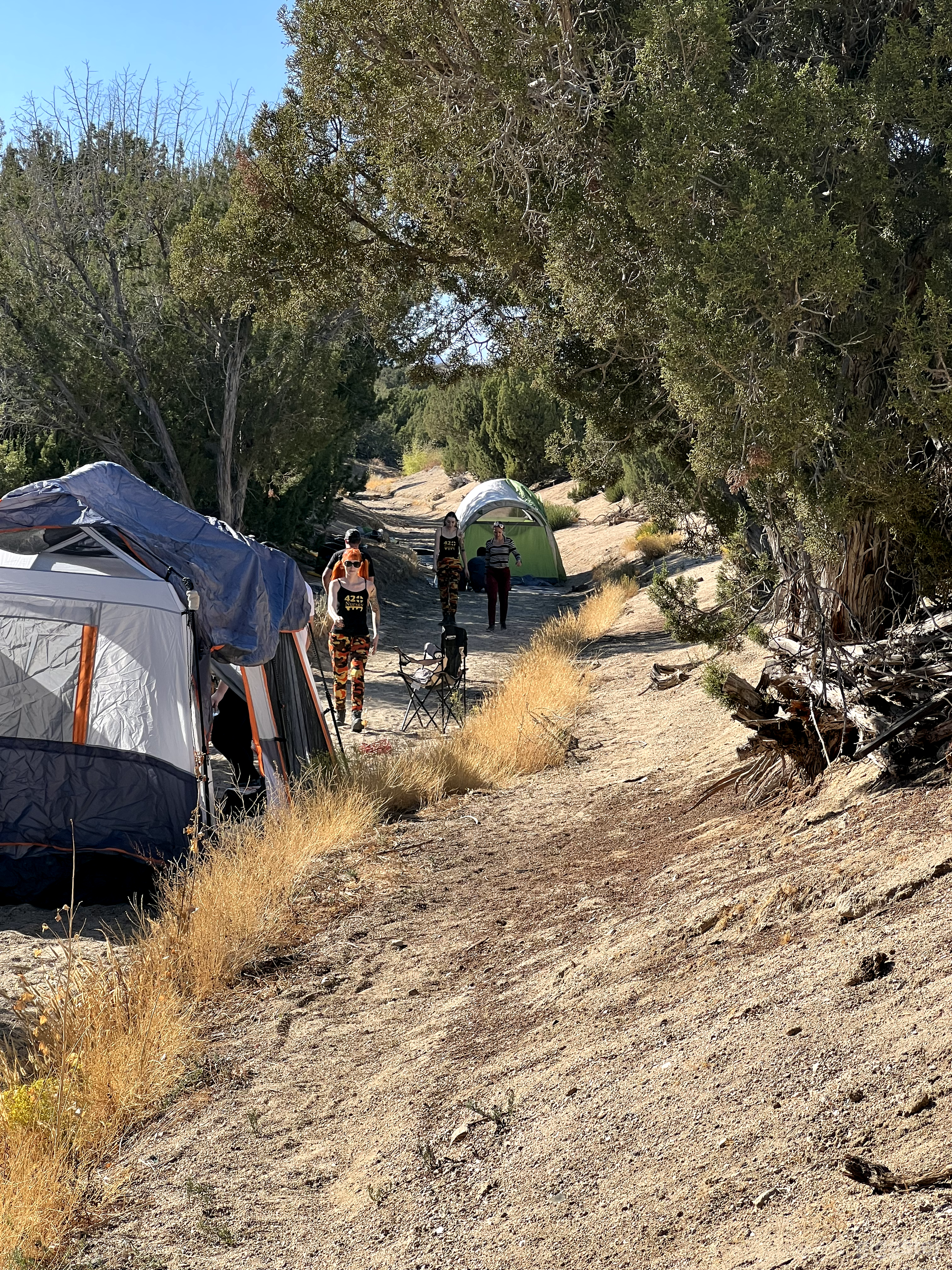 A film about camping 