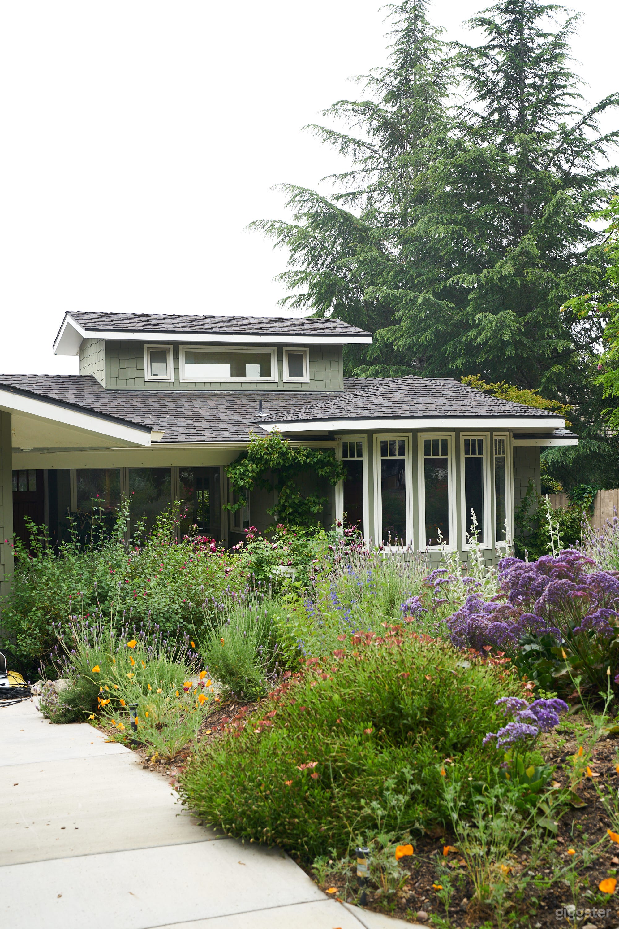 English garden with drought-tollerant plants is what you see from the curb
