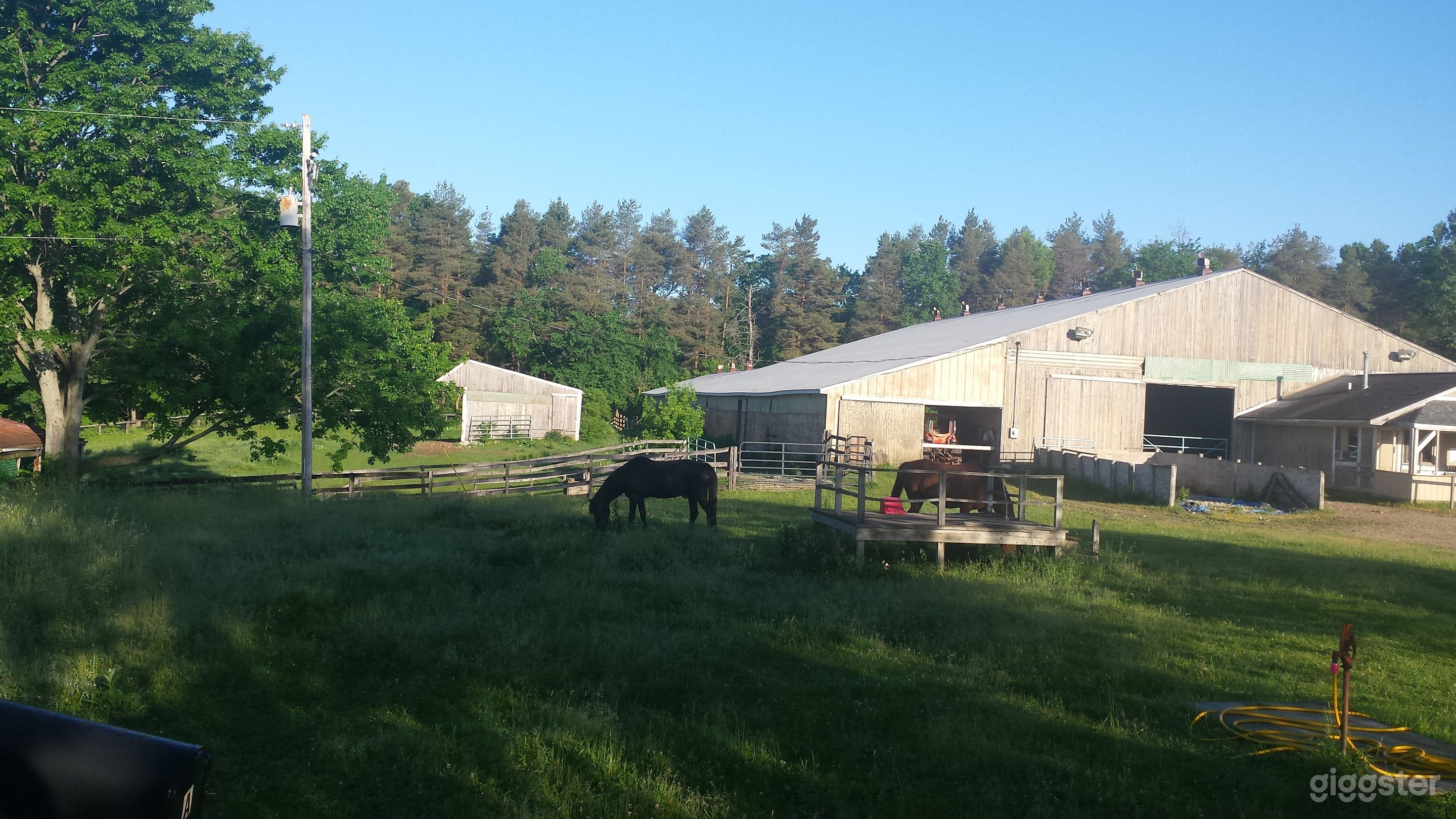 Welcoming rustic horse farm