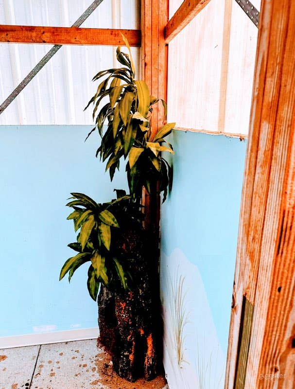 Egg Harbor Estate Indoor Pool Oasis Photo 3