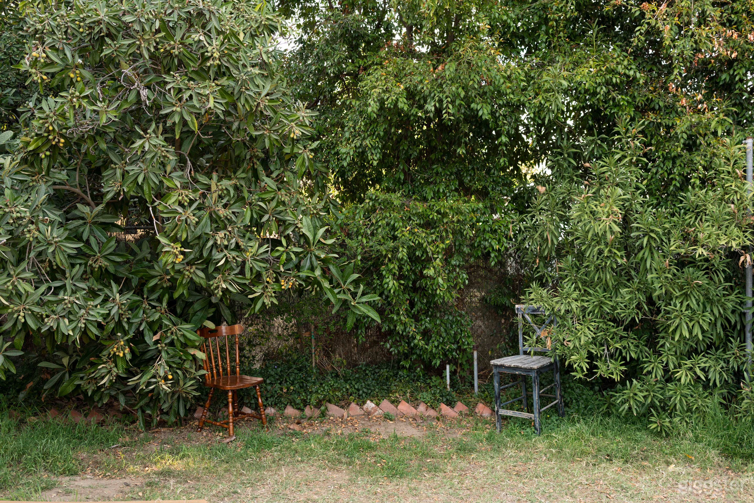 Creative Outdoor Natural Light Studio in Pasadena Photo 3