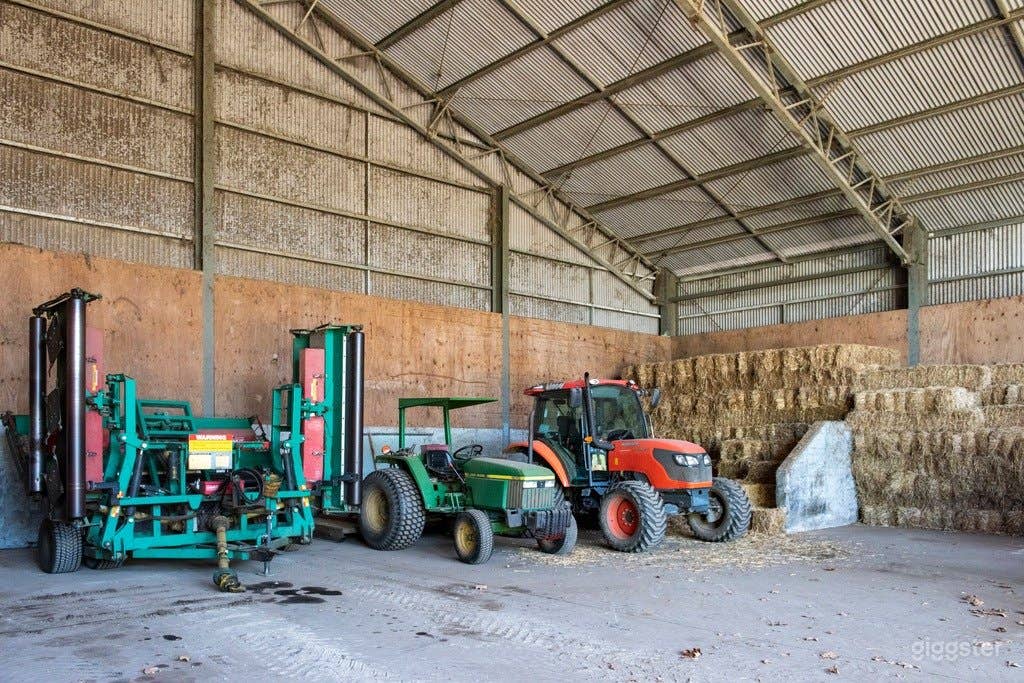 Horse Stud and Equine Centre Photo 3