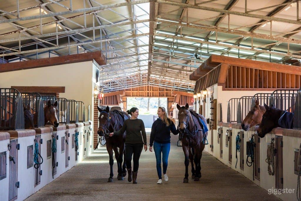 Horse Stud and Equine Centre Photo 1