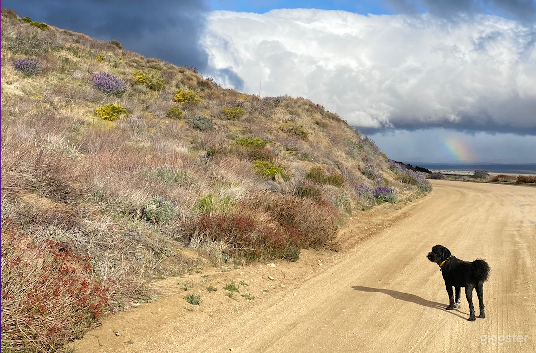 March 2023 - our place