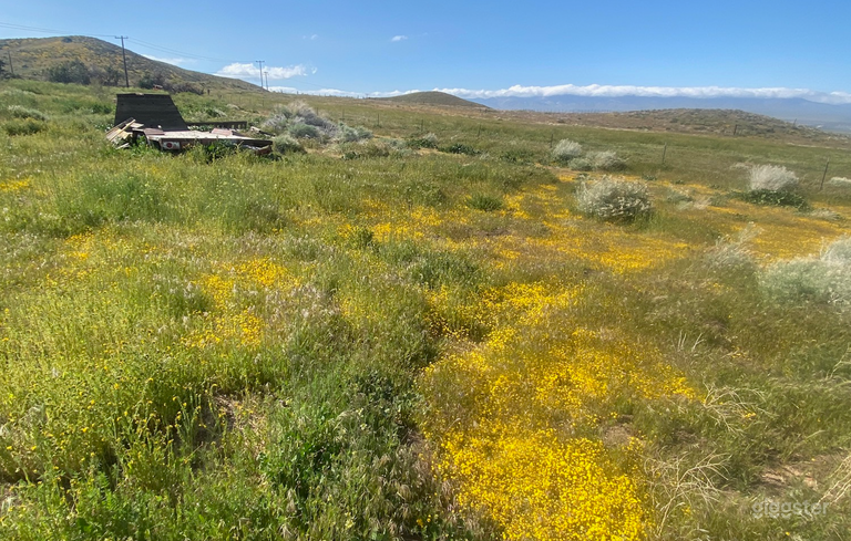  April 2023 - our place 