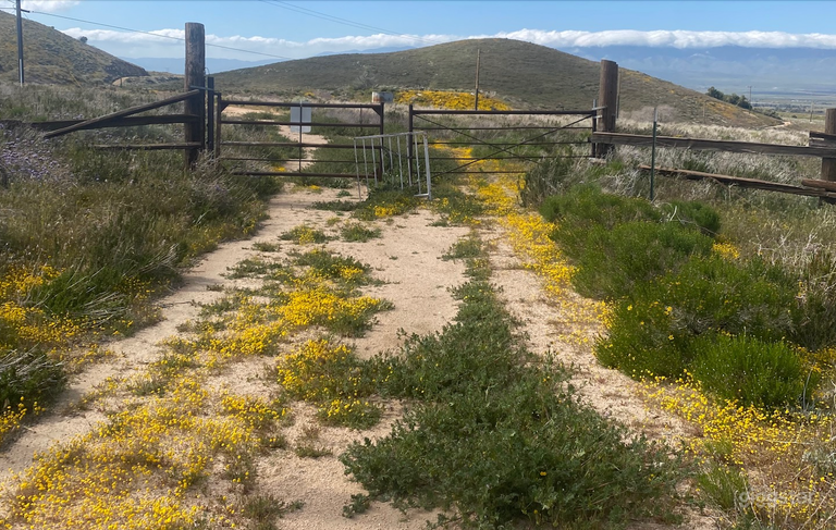  April 2023 - our place 