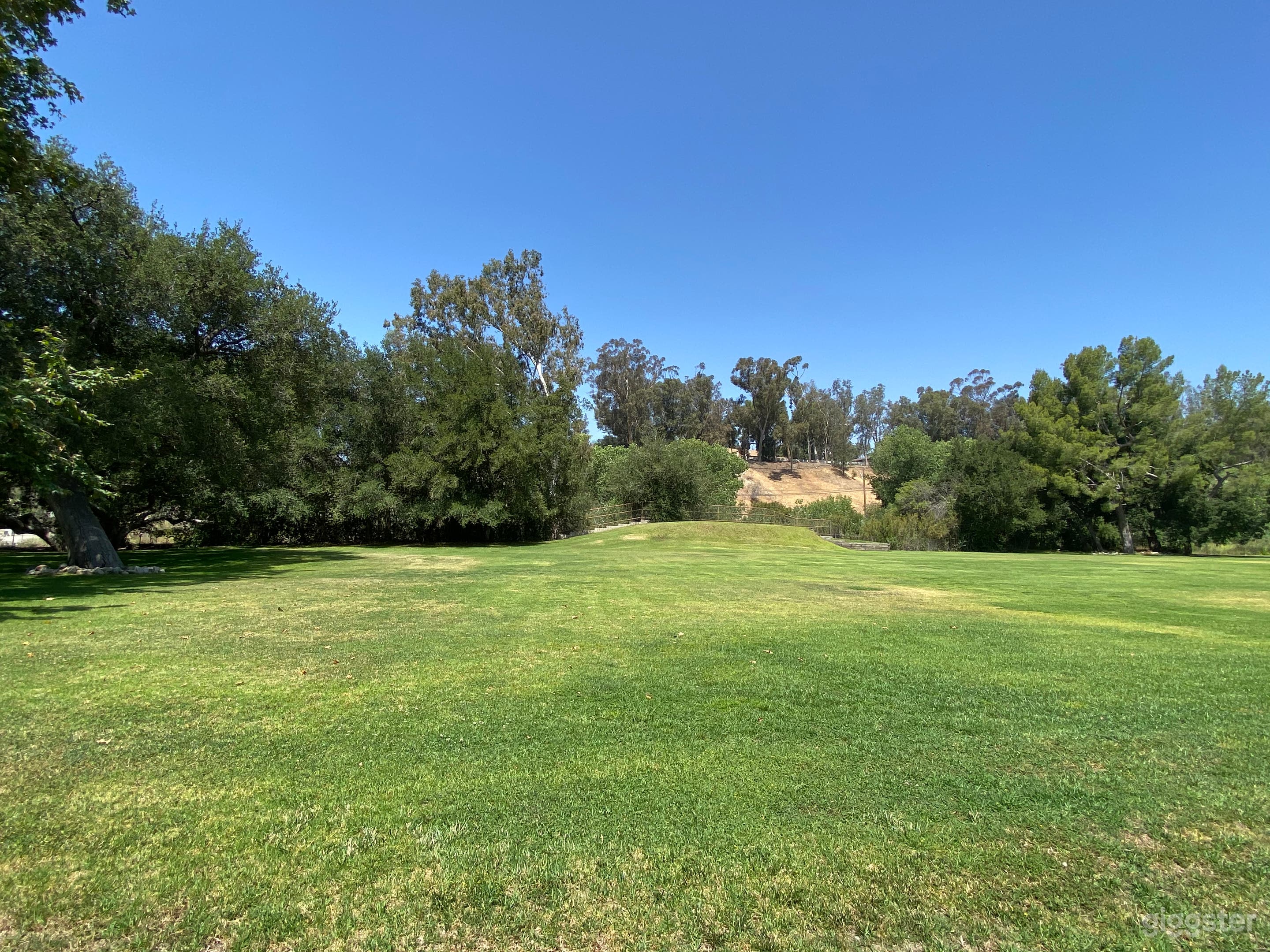 Equestrian Lawn for use as football field, soccer field or other