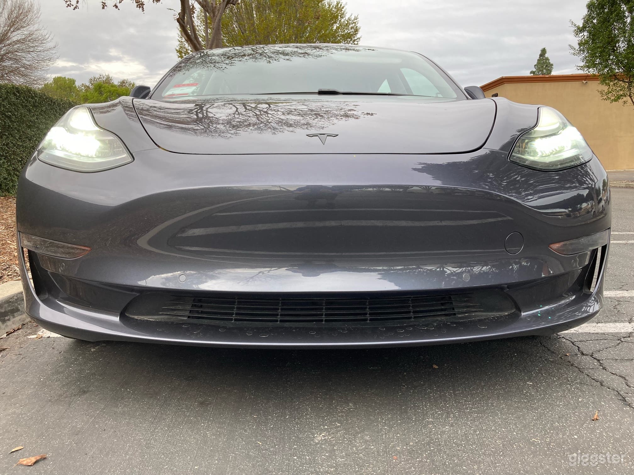 2019 Tesla Model 3 Photo 1