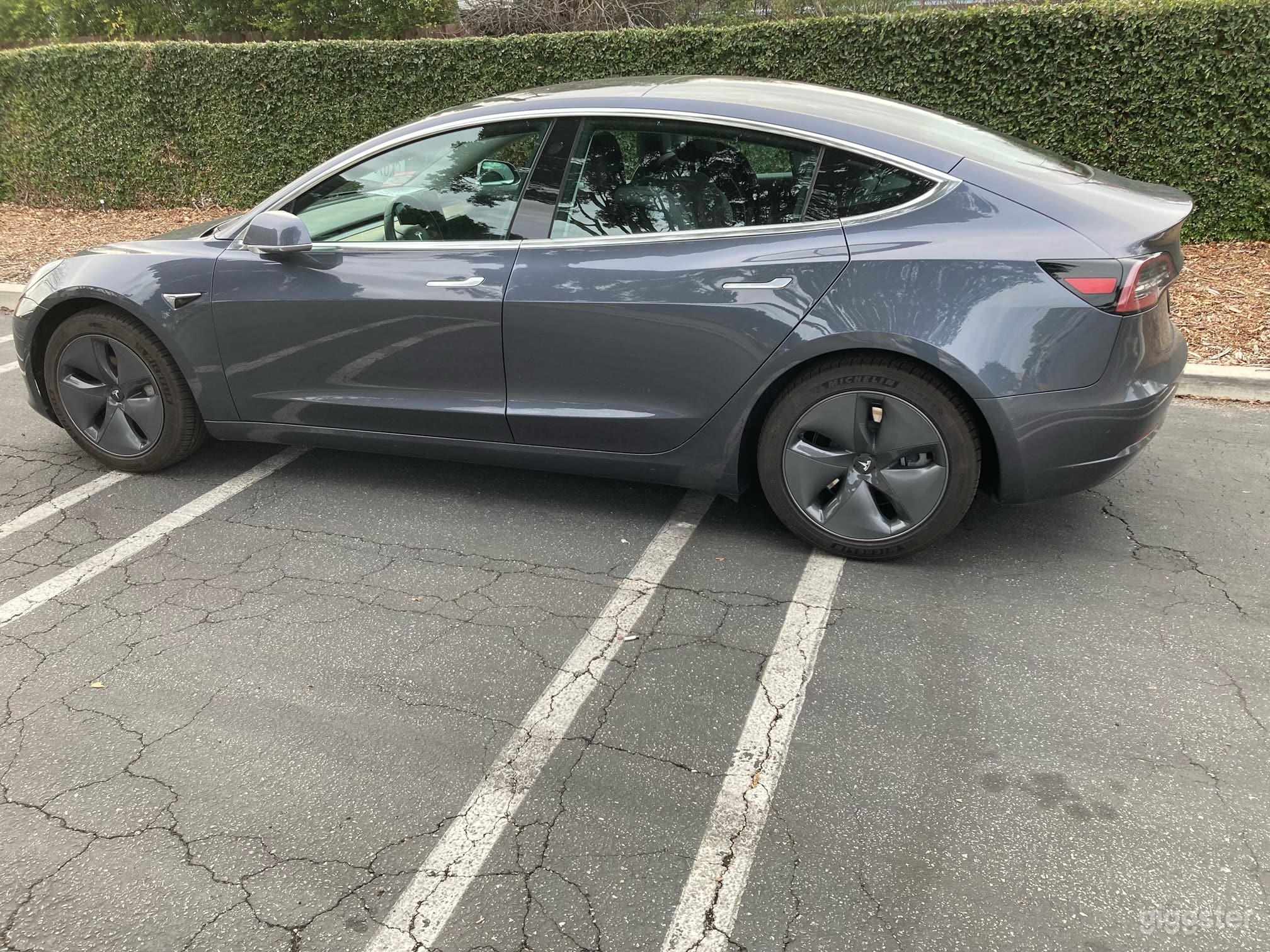 2019 Tesla Model 3 Photo 2