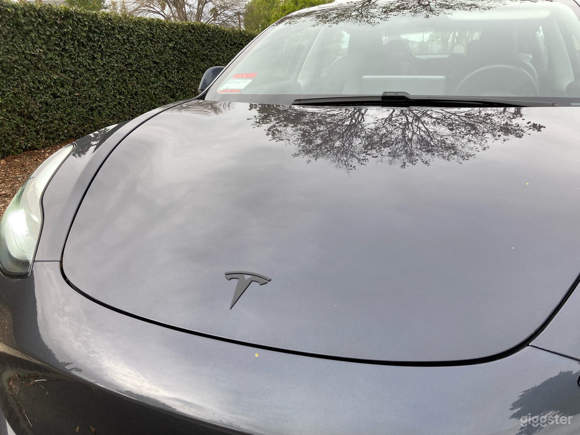 2019 Tesla Model 3 Photo 3