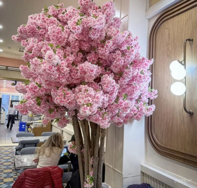  Modern & Sophisticated Restaurant 